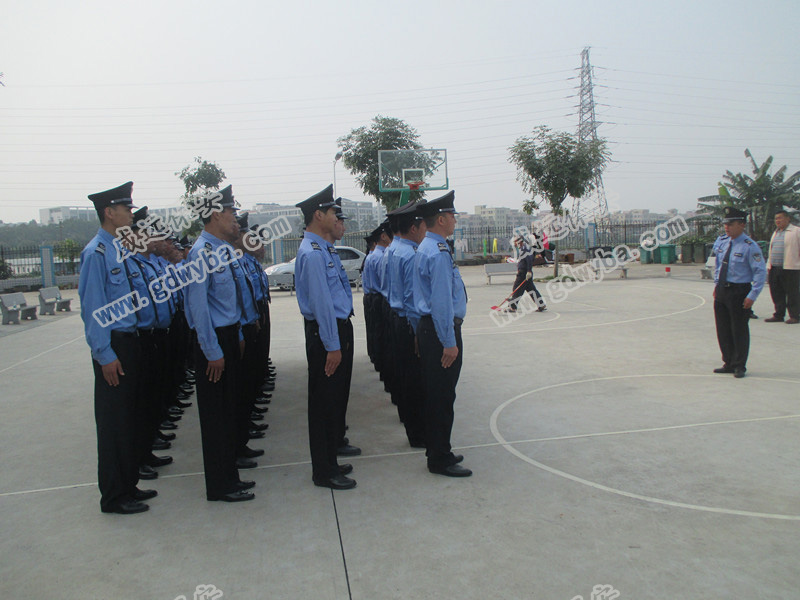 深圳小區(qū)物業(yè)保安公司新聞：植物園內(nèi)發(fā)現(xiàn)國家一級保護(hù)動物倭蜂猴